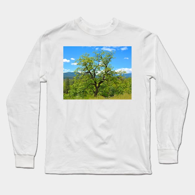 Valley Oak of Northern California Long Sleeve T-Shirt by Burtney